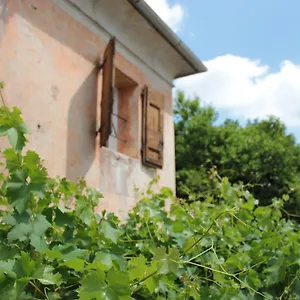 Vigna Bassano del Grappa